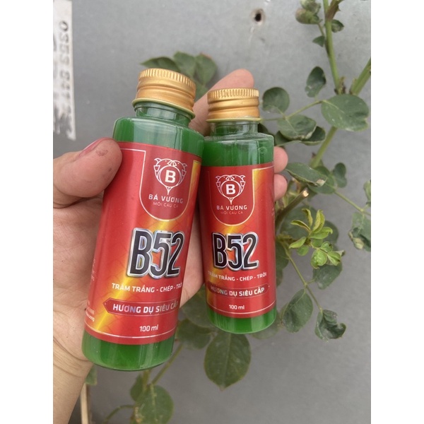 HƯƠNG DỤ CÁ SIÊU CẤP B52 Bá Vương - Chuyên trắm trắng, chép, trôi