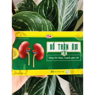 Bổ Thận Âm