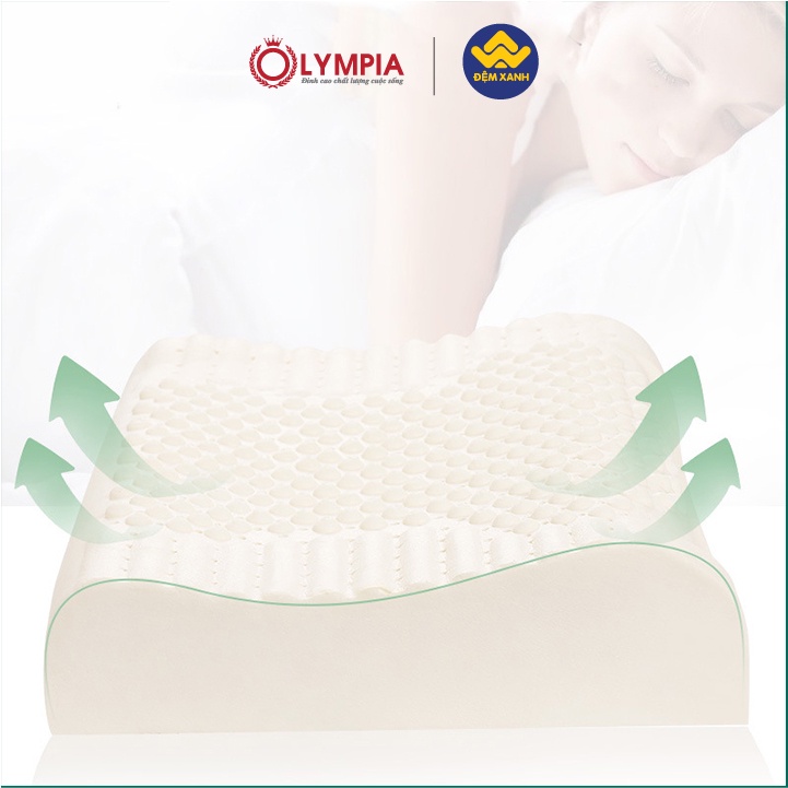 Gối Cao Su Olympia Contour Massage 3 vùng