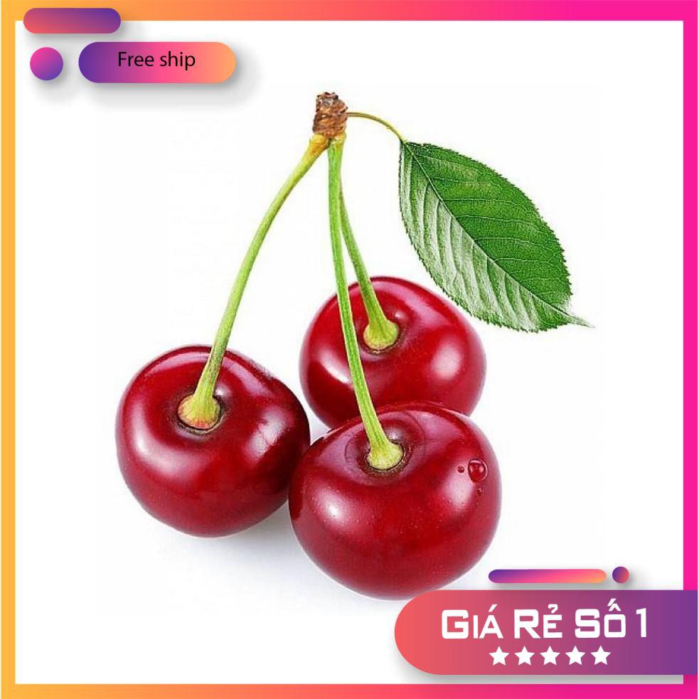 Hạt giống Anh đào (Cherry) (10 hạt)