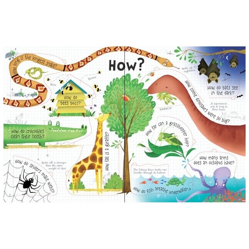 Sách - Anh: Lift-The-Flap Questions And Answers About Animals