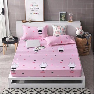 HOTTREND_ GA CHỐNG THẤM COTTON HÀN QUỐC
