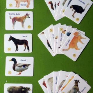 Bộ thẻ học 16 chủ đề cho bé