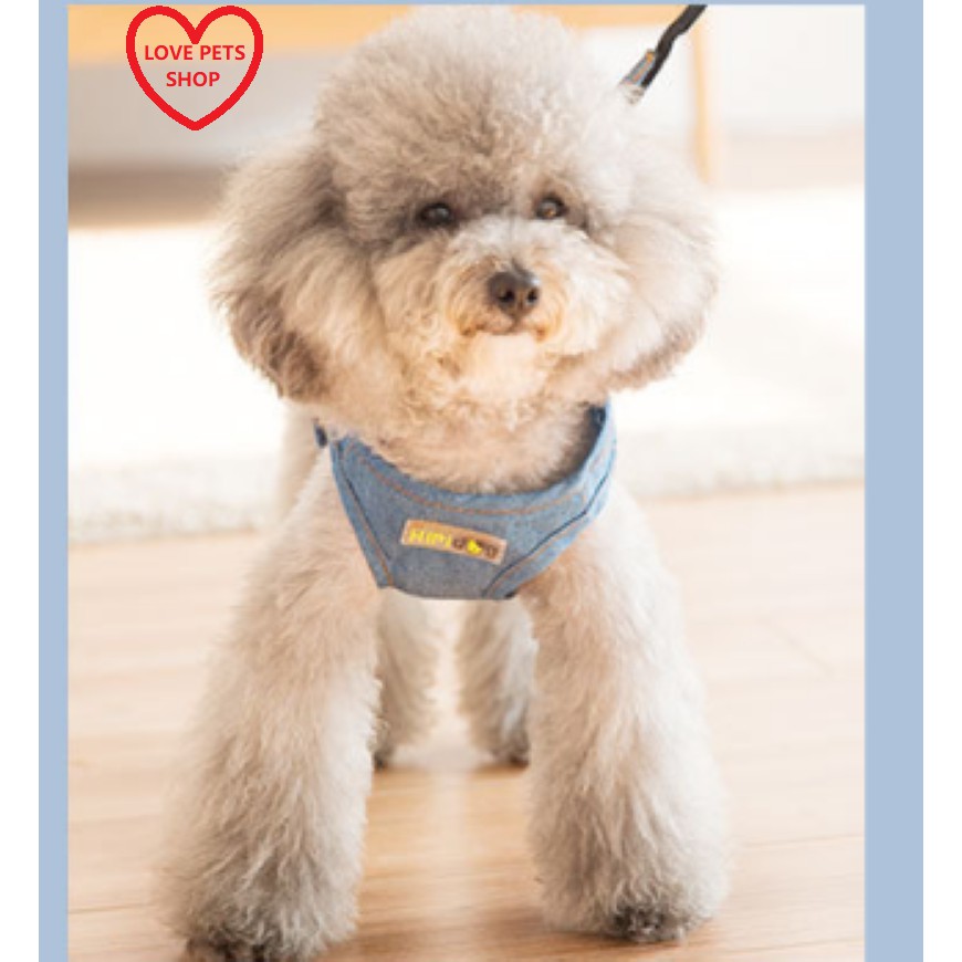 💝 BỘ DÂY DẮT KÈM YẾM BẰNG VẢI JEAN CHO THÚ CƯNG, DÂY DẮT CHÓ - LOVE PETS SHOP 💝