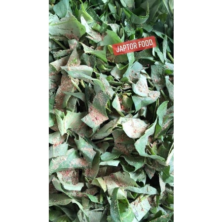 THỨC ĂN JAPTOR FOOD BỘT KHÔ DINH DƯỠNG CỦA Rồng Nam Mỹ IGUANA, RÙA CẠN SULCATA, RỒNG ÚC, BÒ SÁT NÓI CHUNG + Men vi sinh.