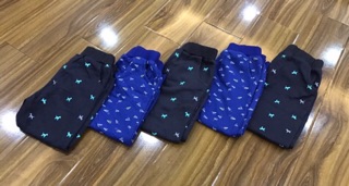 Quần nỉ da cá GAP