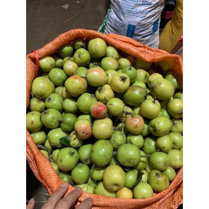 1kg táo mèo ngâm