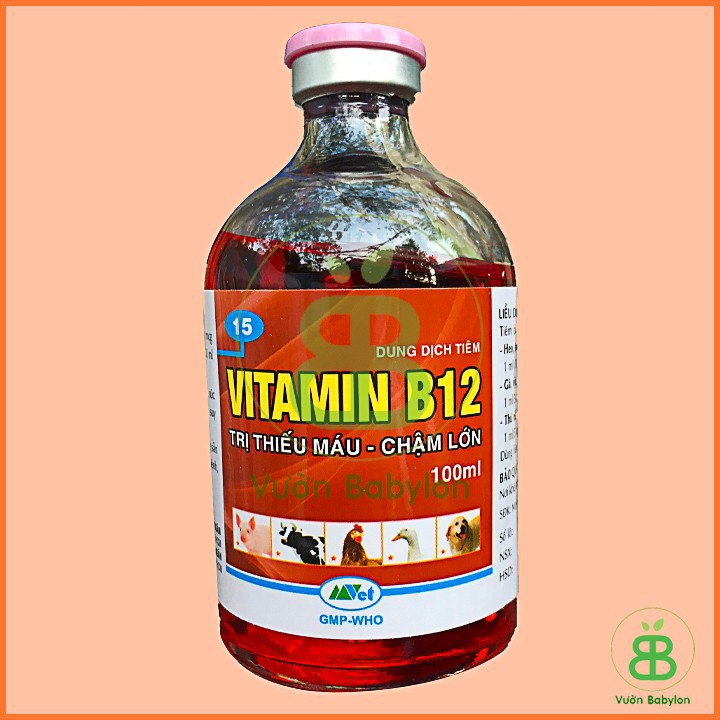 Phân bón Vitamin B12 Chai 100ml - Giải độc cực mạnh, Cây sớm phục hồi