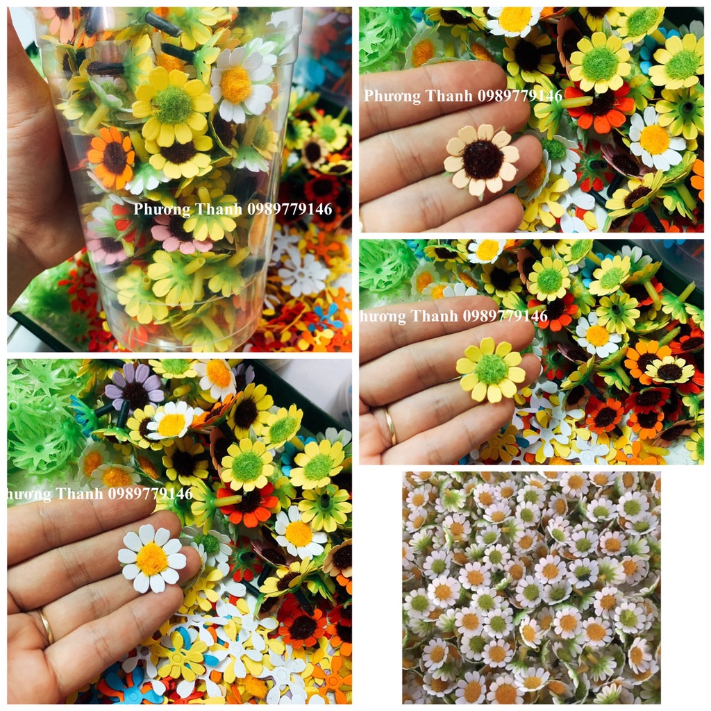 SÉT  ĐẦU BÔNG CÚC TANA