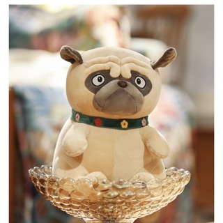 CHÓ PUG 🦴🦴🦴