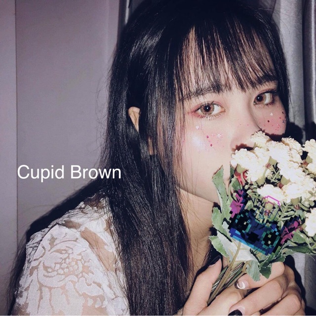 Cupid brown lens Angel Eye 0 độ