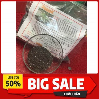 Hạt Mã Đề 100gr (Xa Tiền Tử) - 100% Chất Lượng