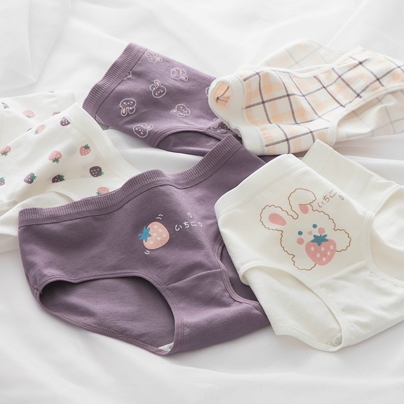 Quần lót cotton cute dễ thương , Quần chip Nữ Lưng thun dễ chịu