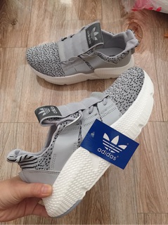 Giày Prophere