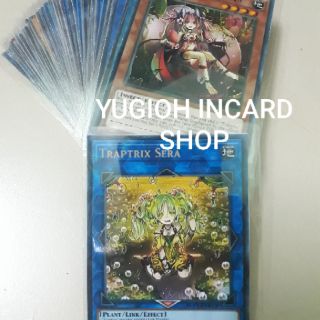 [ẢNH THẬT] TRAP TRIX DECK 2020 55 LÁ [BÀI IN]