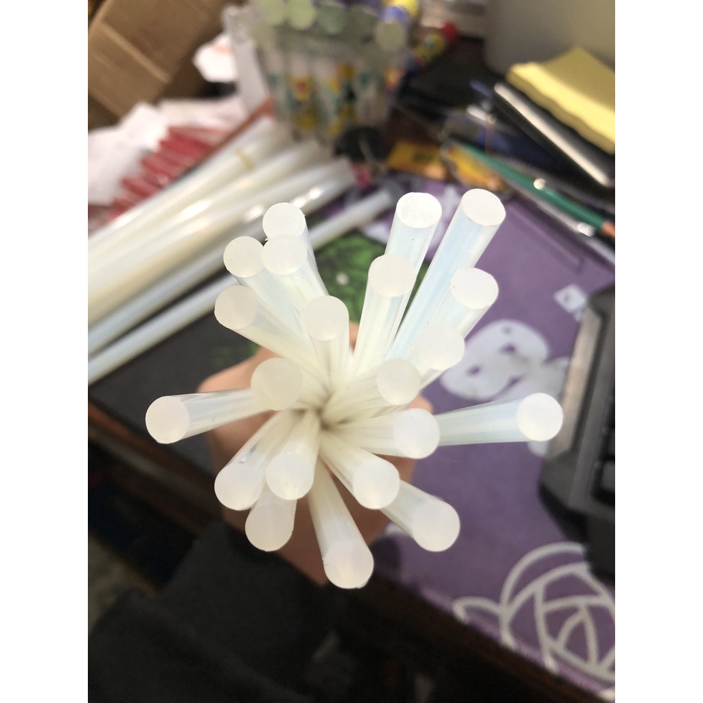 Keo nến - Cây keo nến bé 25cm