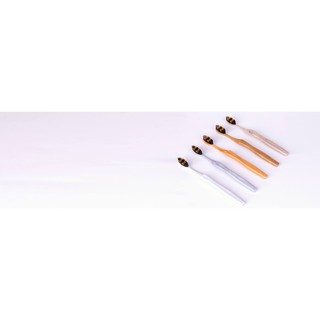 Bàn chải đánh răng Bizs+ Carbon
