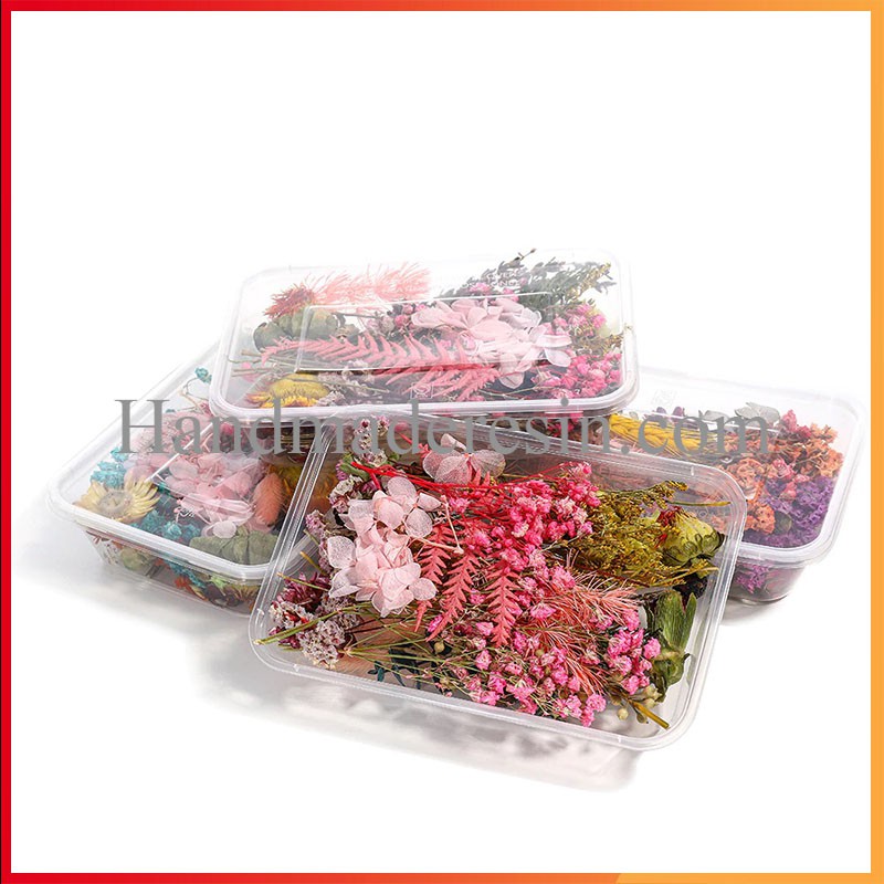 Hoa khô Vĩnh Cửu - Set hỗn hợp trên 10 loại hoa