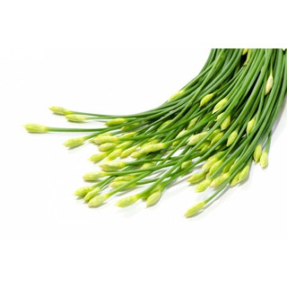 Bộ 1 hạt giống hẹ bông