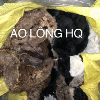 Ái khoác cua trinh nguyễn
