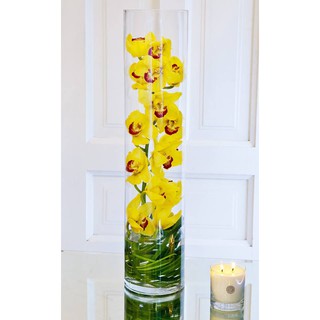 RẺ VÔ ĐỊCH - BÌNH CẮM HOA THỦY TINH THÁI LAN HÌNH TRỤ 12x12x50cm