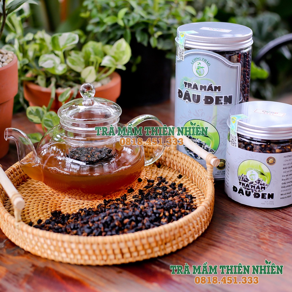 Trà Mầm Đậu Đen Lương Thảo - Mát Gan, Giải Độc, Hỗ Trợ Giảm Cân