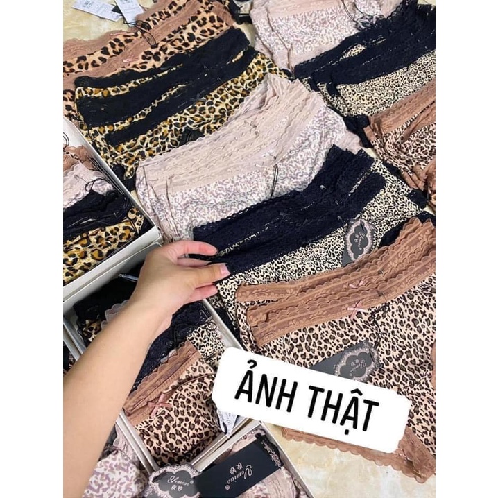 SET 5 QUẦN LÓT REN BÁO