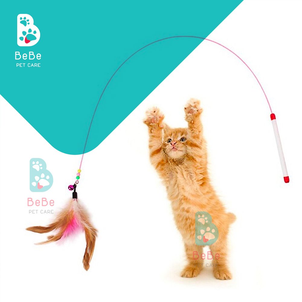 Cần Câu Mèo Dây Thép - Cây Vờn Mèo Vui Nhộn - Đồ Chơi Cho Mèo