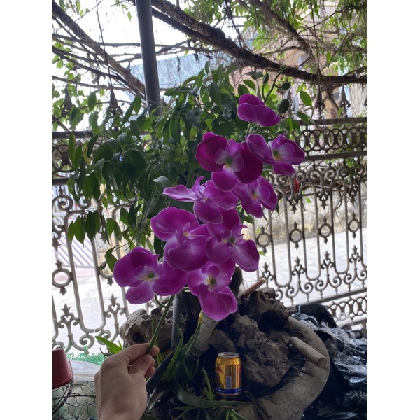 Hoa giả,hoa vải lụa - CÀNH LAN HỒ ĐIỆP 9 BÔNG CAO CẤP