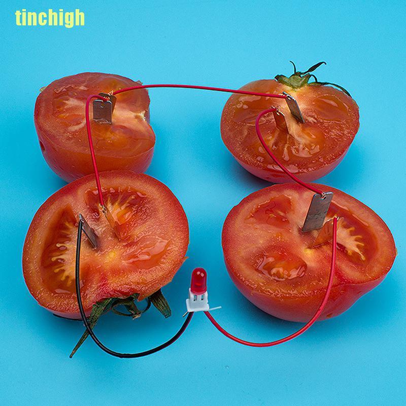 1 Bộ Dụng Cụ Thí Nghiệm Khoa Học Chuyên Dụng