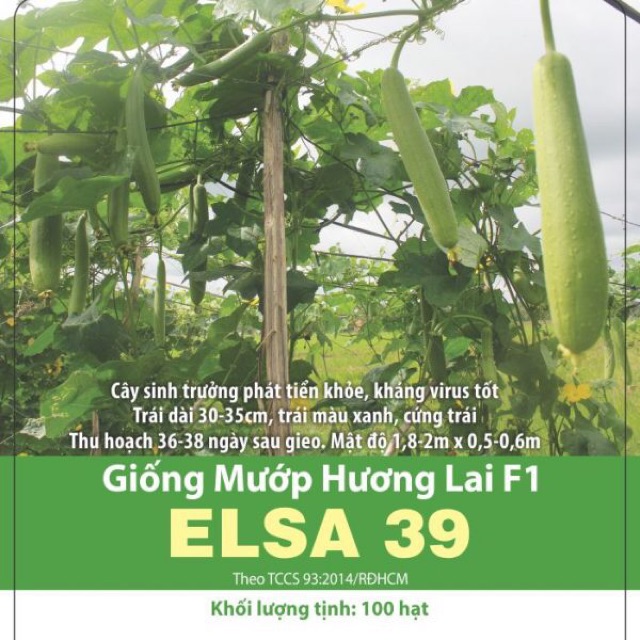 Hạt Giống Mướp Hương Cao Cấp