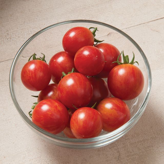 Hạt giống cà chua Cherry Bee giôang hữu cơ Jonny Seeds dễ trồng sai quả