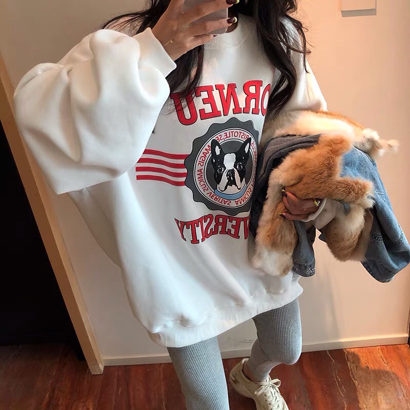 Áo Sweater Nỉ Chó ORNEU 🦋 Áo Thun Unisex Dài Tay Dáng Rộng 2 Màu 🦋