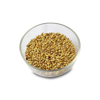 Malt nấu bia Caramunich Malt II