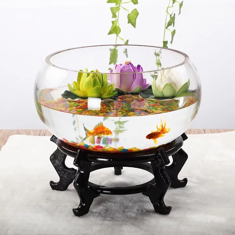 Chậu thủy tinh tròn thấp đường kính 20 - 25 cm nuôi cá cảnh nhỏ, có bán đế đen, trồng cây thủy sinh, mix tiểu cảnh