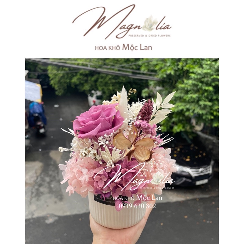 Chậu hoa hồng vĩnh cửu tone Tây trang trí nhà cửa, chụp ảnh sản phẩm sang trọng