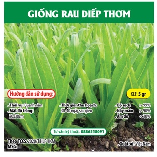 Hạt giống rau diếp thơm gói 5gr - hóa nông