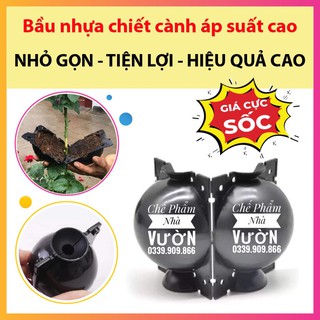 Bầu Chiết Cây Chuyên Dụng 12cm - Hàng Loại 1 - chephamnhavuon