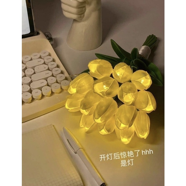 BÓ 10 BÔNG HOA TUY LUÝP BÓ SẴN GẮN ĐÈN LED