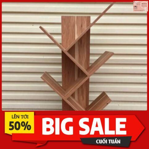 Kệ sách hình xương cá vân gỗ - Giá đẻ sách (GIÁ TẠI XƯỞNG)