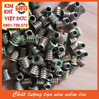 Túi ốc cấy gỗ phi 8 - 100 con