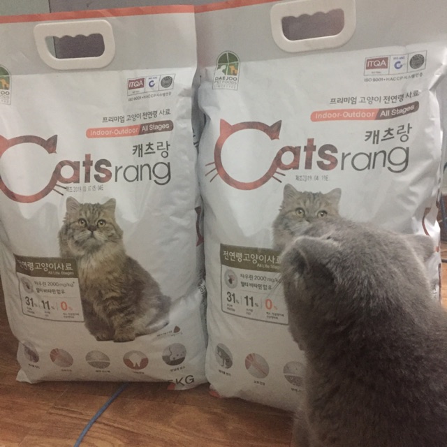 Bao hạt catsrang 5kg