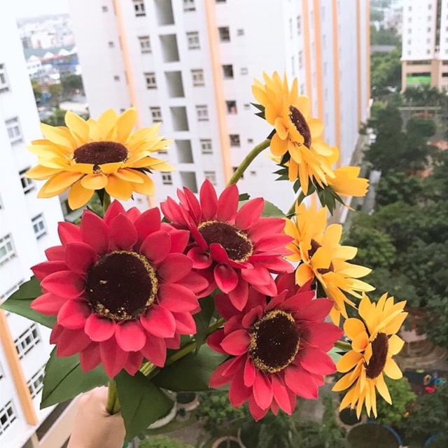 Hoa hướng dương