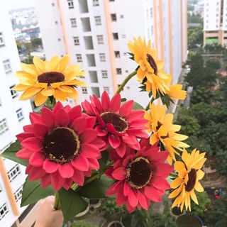 Hoa hướng dương