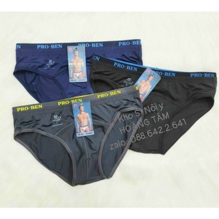 SET 10 QUẦN SỊP PROBEN THUN LẠNH PB03