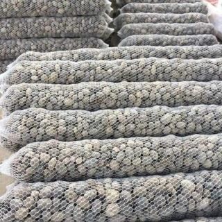 PHÂN DÊ  BÓN LAN VÀ CÁC LOẠI CÂY TRỒNG -