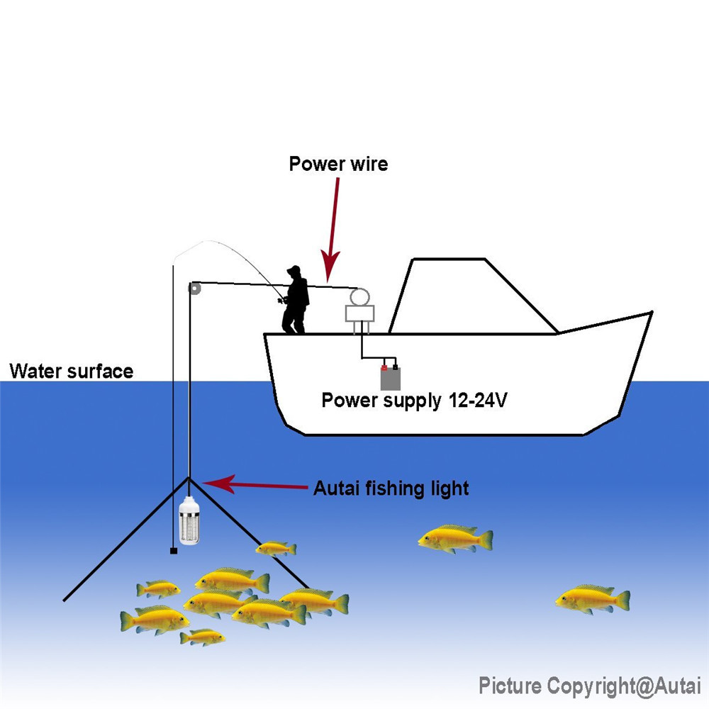 Đèn dẫn dụ cá LED ngoài trời Điện áp 12V Điện áp không thấm nước Ánh sáng xanh lục Đèn dẫn cá bè Đèn LED câu cá Thu hút cá LED Đèn thu hút