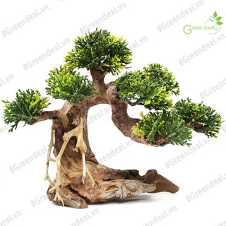 Bonsai Driftwood (GH-PLASTIC/21) | Lũa Bonsai trang trí hồ cá thủy sinh