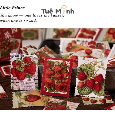 Bộ sticker nhãn dán hình dễ thương, trang trí sổ, sách đáng yêu
