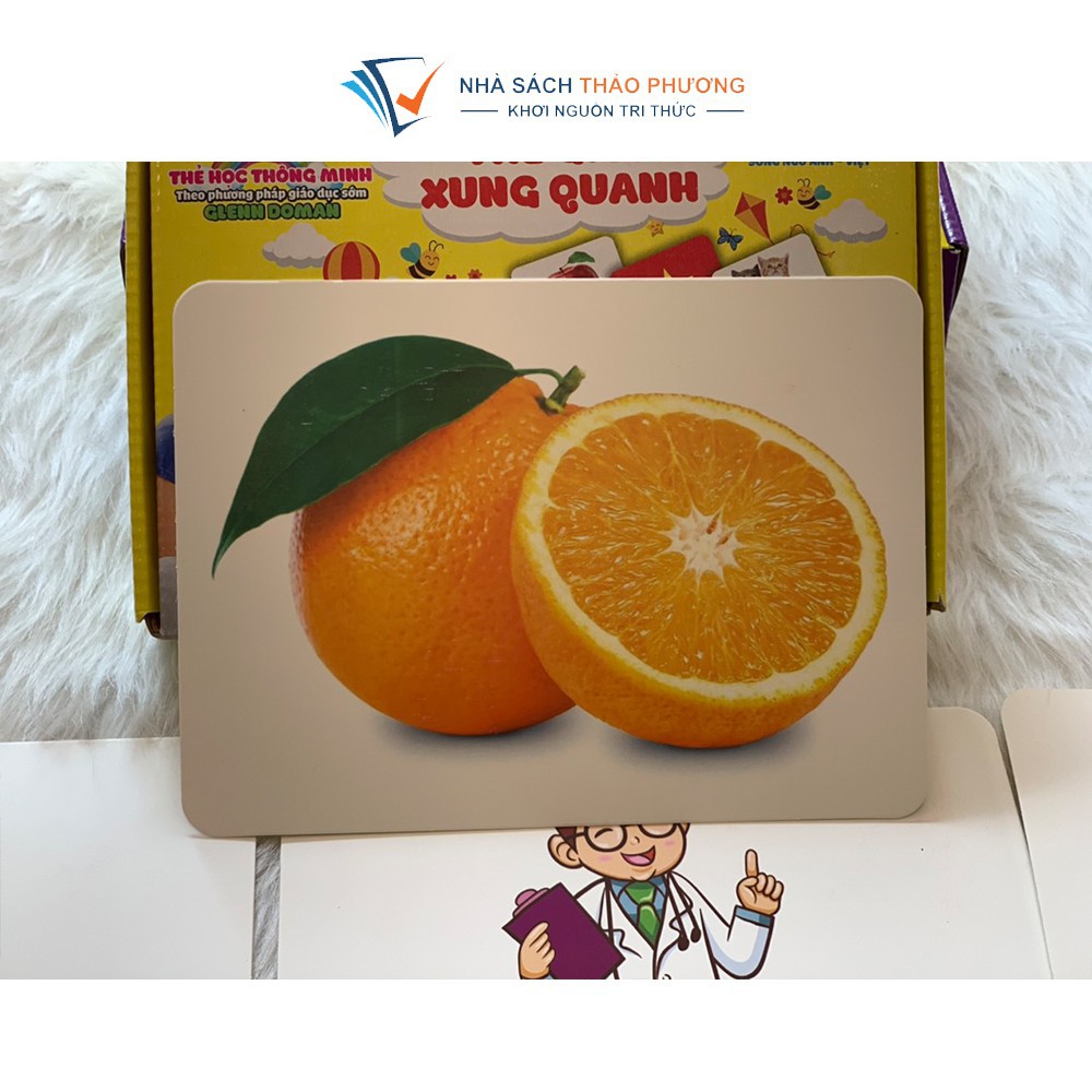 Bộ thẻ Flashcard Việt Hà chủ đề Thế giới xung quanh A5 (15x21cm) song ngữ Việt Anh (phương pháp Glenn Doman)